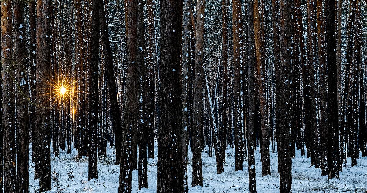 Bahnverkehr-weiter-eingeschr-nkt-Glatteis-droht