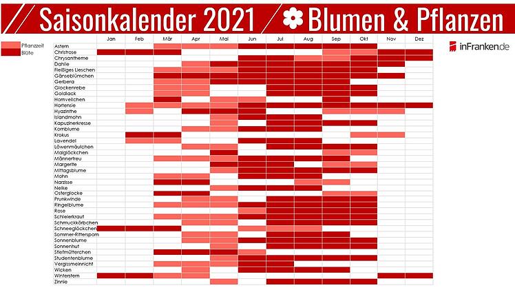 Saisonkalender 2021 vom inFranken.de Garten-Ratgeber