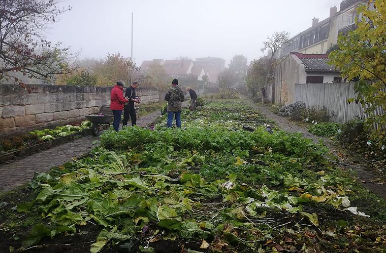 Bamberg: Gärtner- und Häckermuseum macht Winterpause - Dann startet die neue Saison 2023