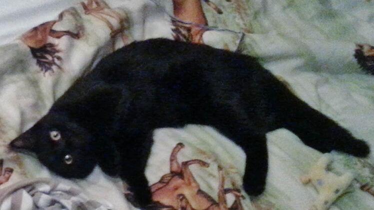 Die kleine Muffin der Familie Potsch ist noch ganz jung.