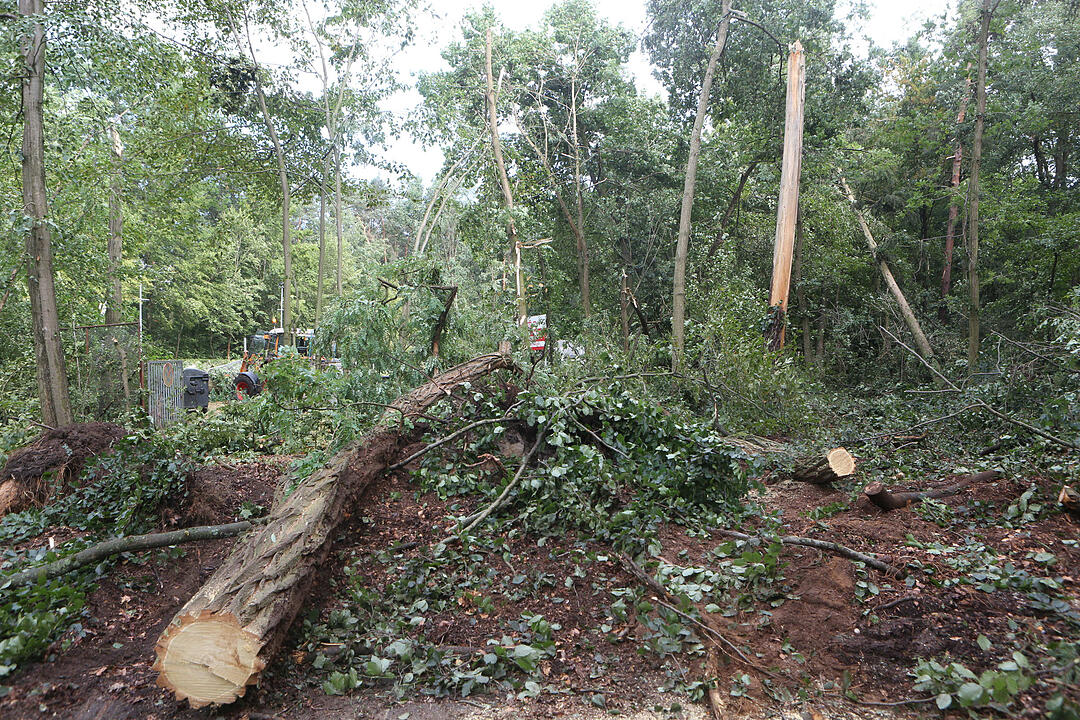 Aufraeumarbeiten in Bamberg nach schwerem Unwetter