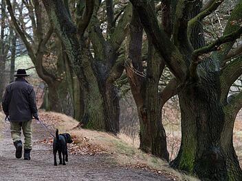 Foto: Ingo Wagner/dpa