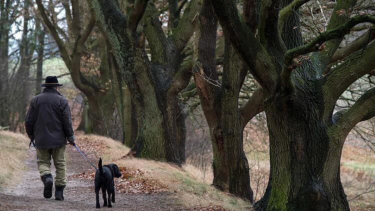 Foto: Ingo Wagner/dpa