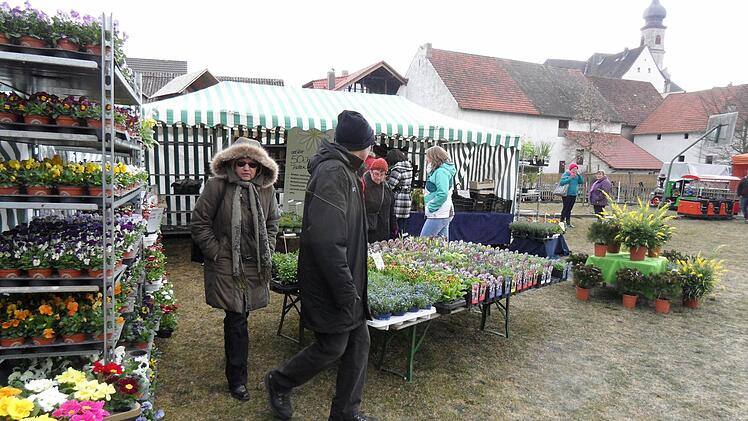 Mit Primeln, blühendem Ginster und duftenden Kräutern zauberte Gärtner Peter Summa ein bisschen Frühling in den Ostermarkt, auch wenn die Kleidung seiner Kunden eher zu einem Weihnachtsmarkt gepasst hätte.