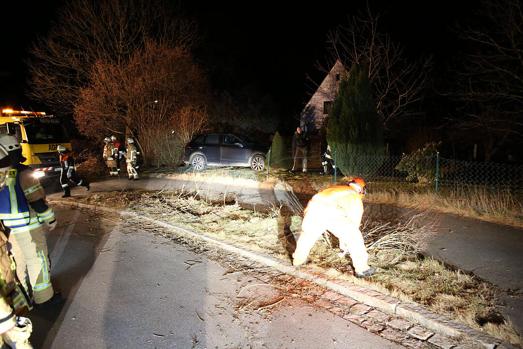 Verfolgungsjagd auf A9 endet in Vorgarten