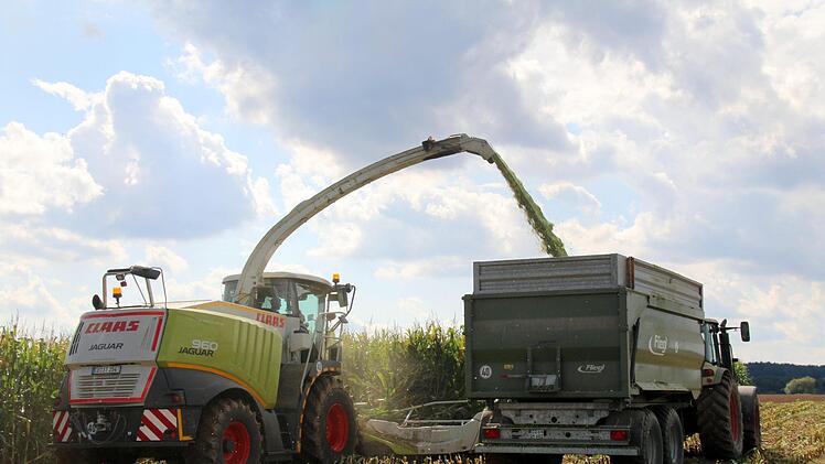 Foto: Bettina Knauth