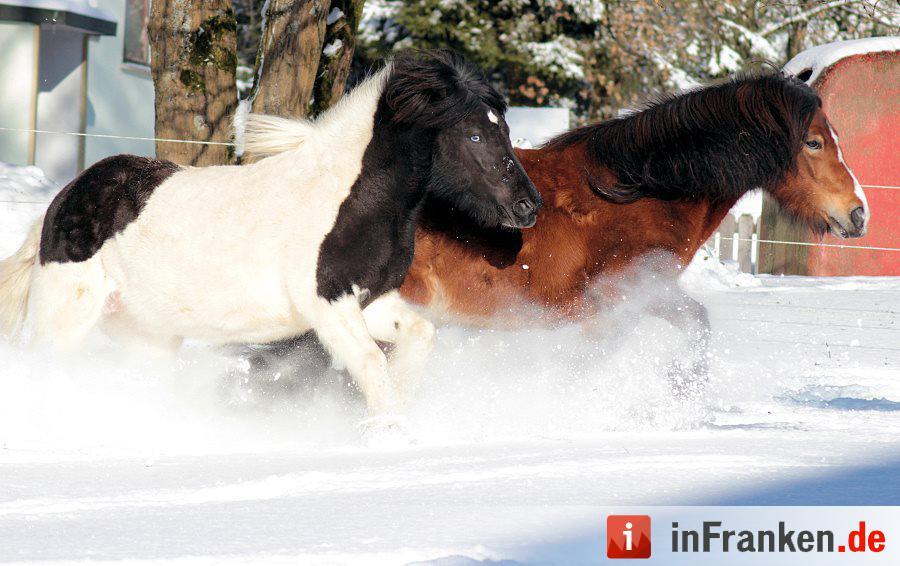 Eis und Schnee in Franken - die schönsten Winterleserfotos