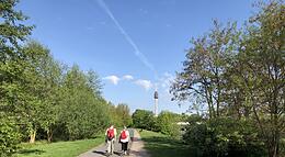 Vorschaubild