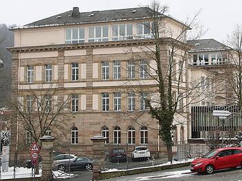 Weil Elternbeirat und Biologielehrer des MGF-Gymnasiums dazu aufriefen, beim Volksbegehren zu unterschreiben, machten  Bauernverband, CSU und Freie Wähler  Druck. Foto: Stephan Tiroch