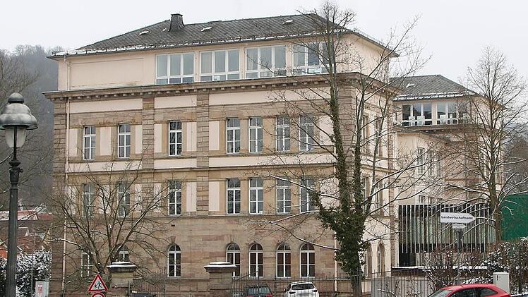 Weil Elternbeirat und Biologielehrer des MGF-Gymnasiums dazu aufriefen, beim Volksbegehren zu unterschreiben, machten  Bauernverband, CSU und Freie Wähler  Druck. Foto: Stephan Tiroch