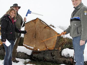 "Hier liegt die Braut": FBG-Förster Christian Mehlhorn, FBG-Geschäftsführerin Birgitt Ulrich und Forstberater Jürgen Schafhauser (im Bild von links) zeigen dieWertmale dieses teuersten Stammes aus dem Rotenhanschen Wald. Foto: Ralf Kestel