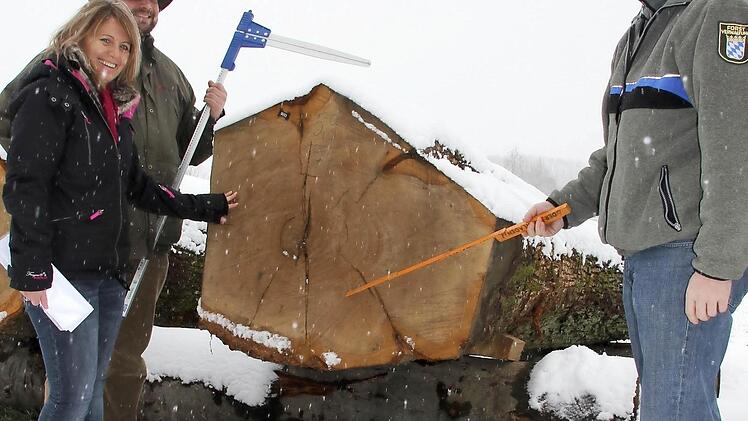 "Hier liegt die Braut": FBG-Förster Christian Mehlhorn, FBG-Geschäftsführerin Birgitt Ulrich und Forstberater Jürgen Schafhauser (im Bild von links) zeigen dieWertmale dieses teuersten Stammes aus dem Rotenhanschen Wald. Foto: Ralf Kestel