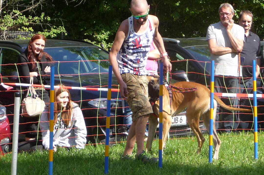 19.8.2017 Tierheimfest Kulmbach