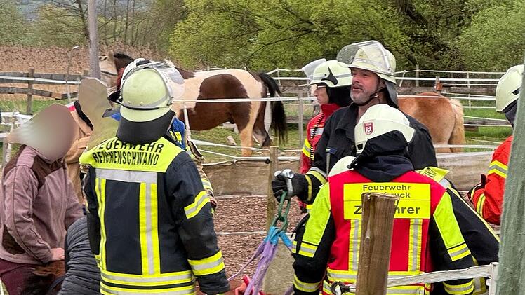 Nürnberger Land: Feuerwehr rettet Pferd aus Traktorreifen - "konnte sich nicht befreien"