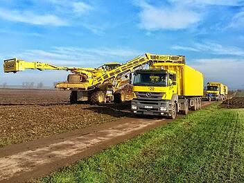 Den heutigen Erfordernissen müssen die landwirtschaftlichen Wege wie beim Abtransport von Zuckerrüben angepasst werden.  Foto: Stefan Geiger