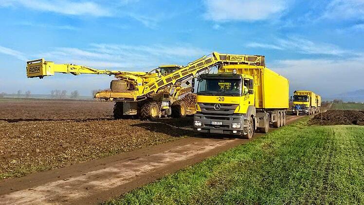 Den heutigen Erfordernissen müssen die landwirtschaftlichen Wege wie beim Abtransport von Zuckerrüben angepasst werden.  Foto: Stefan Geiger