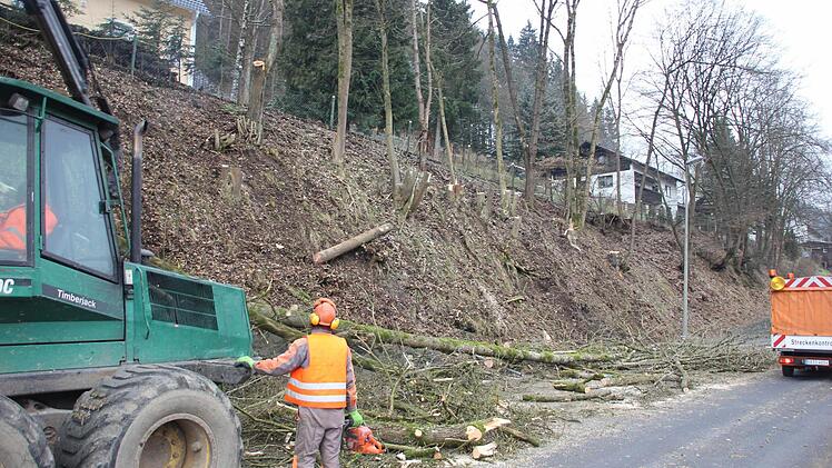 Die Fahrbahn war zur Hälfte durch Stämme und Astwerk blockiert.  Foto: Friedwald Schedel