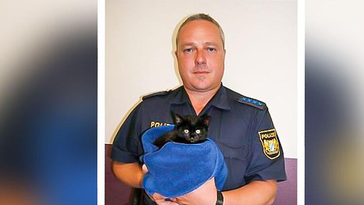 Auf der A3 wurde ein Kätzchen von der Autobahn gerettet. Foto: Polizei Niederbayern