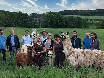 Gruppenbild mit Lamas und Alpakas: Die Tiere waren bei der Pressekonferenz über den Landbautag mit dabei. Peter Will (2.von links), Abteilungsleiter im Amt für Ernährung, Landwirtschaft und Forsten Bad Neustadt an der Saale und Landwirt Jochen Then (3. von rechts) sind die Organisatoren.