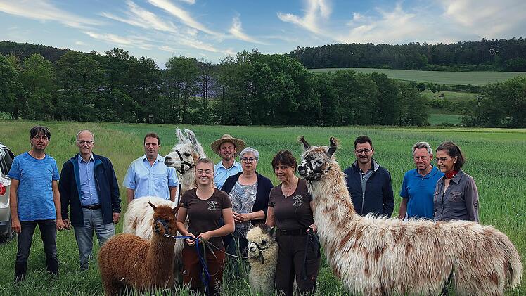 Gruppenbild mit Lamas und Alpakas: Die Tiere waren bei der Pressekonferenz über den Landbautag mit dabei. Peter Will (2.von links), Abteilungsleiter im Amt für Ernährung, Landwirtschaft und Forsten Bad Neustadt an der Saale und Landwirt Jochen Then (3. von rechts) sind die Organisatoren.