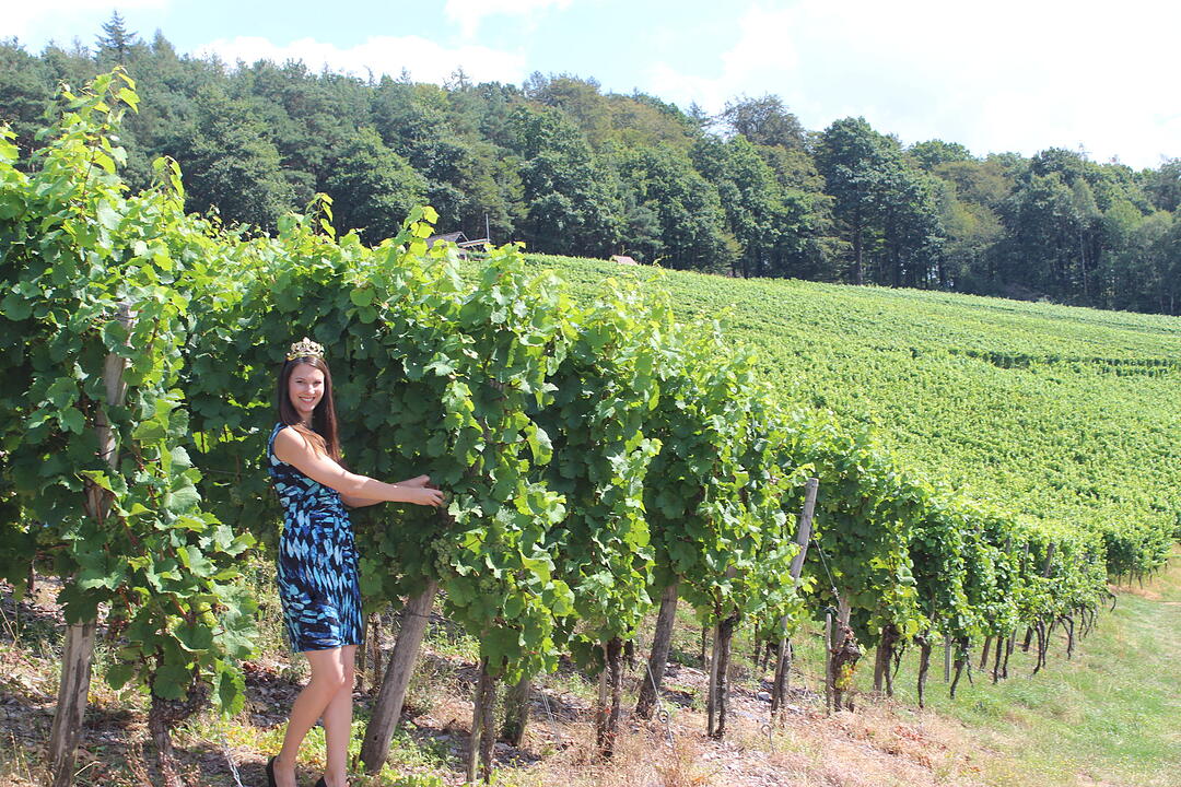 Weinregion m. Strahlkraft