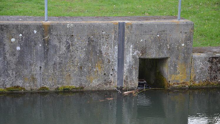 Für Fische gibt es eine Umgehung.