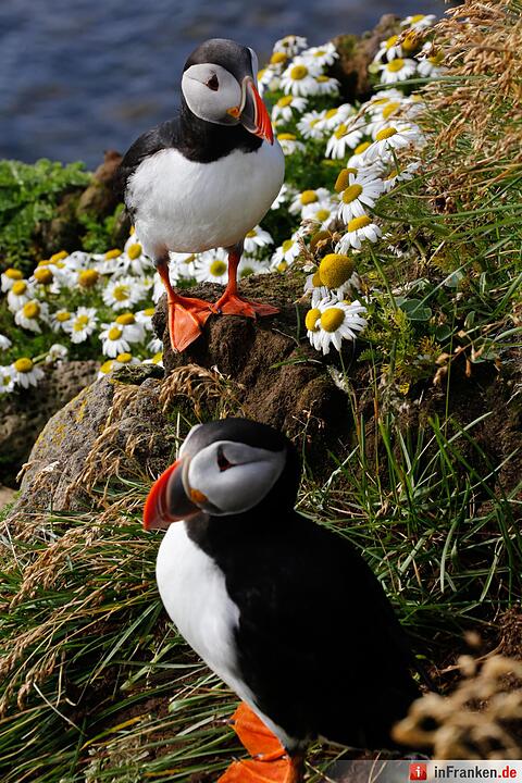 Bilder aus Island