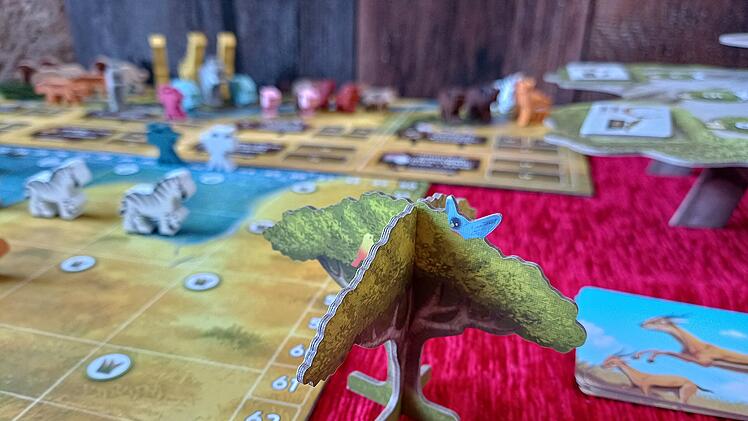 Spiele-Test "Wilde Serengeti": Gehobenes Familienspiel für Wildtier-Fans