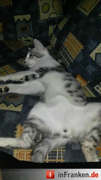 Foto: Melanie Lauterbach