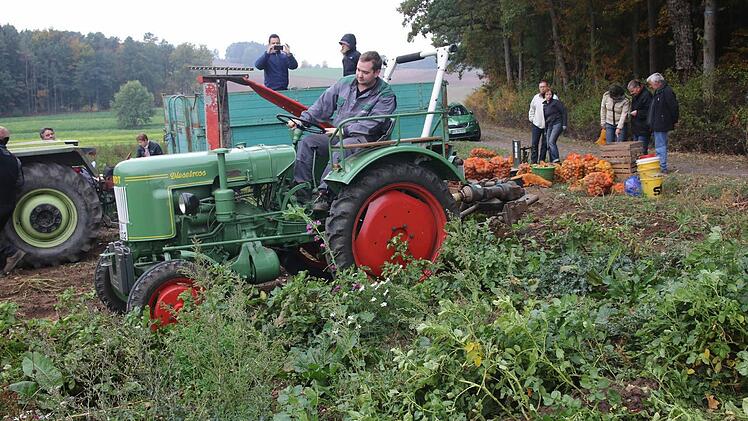 Stilecht mit seinem alten Fendt-Traktor fährt Florian Löw durch den Kartoffelacker und legt mit seiner Schleuder die wertvollen Knollen frei zum Auflesen. Foto: Michael Stelzner