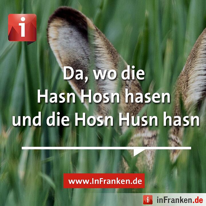 Tag der Muttersprache: Fränkisch zum Teilen