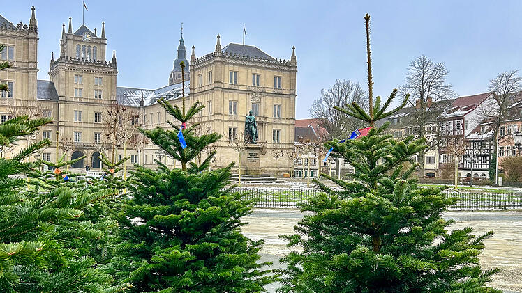 Coburg: Christbaummarkt auf dem Schlossplatz startet am Freitag