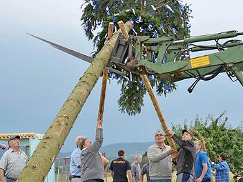 So wird in Wollbach der Plobaum aufgestellt. Am Samstag ist es ab 18 Uhr wieder so weit. Foto: Archiv/Björn Hein