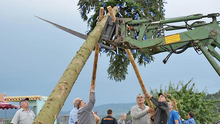 So wird in Wollbach der Plobaum aufgestellt. Am Samstag ist es ab 18 Uhr wieder so weit. Foto: Archiv/Björn Hein