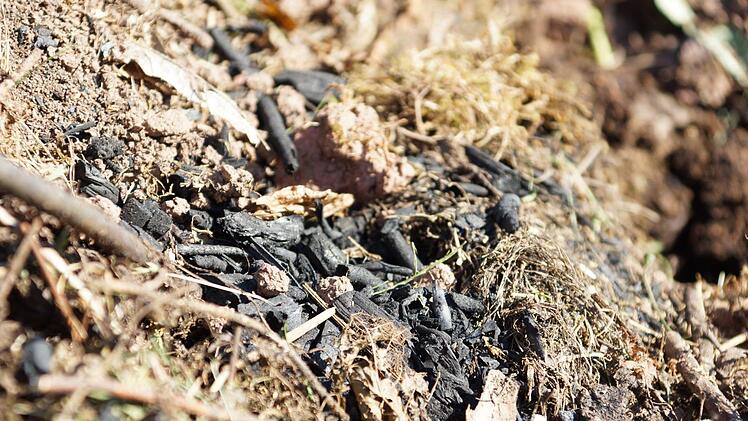 Holzkohle ist unter das Kompostmaterial gemischt.Foto: Arkadius Guzy