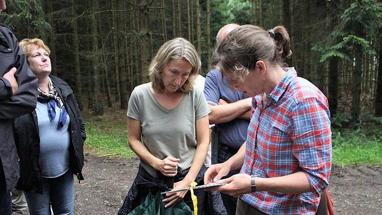 Diplom Forstingenieurin Birgid Badde erklärt den Stadträten die Lage des Stadtwaldes. Foto: Julia Raab