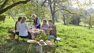 Picknick auf der kl&ouml;sterlichen Obstbaumwiese  Foto: A. F. Endress