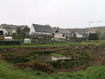 Für Diskussionsstoff sorgte der Zustand der Teichanlage in Waldfenster.  Marion Eckert