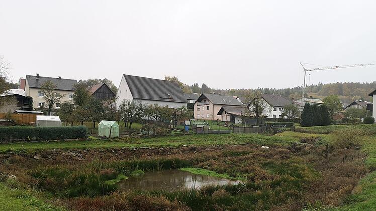 Für Diskussionsstoff sorgte der Zustand der Teichanlage in Waldfenster.  Marion Eckert