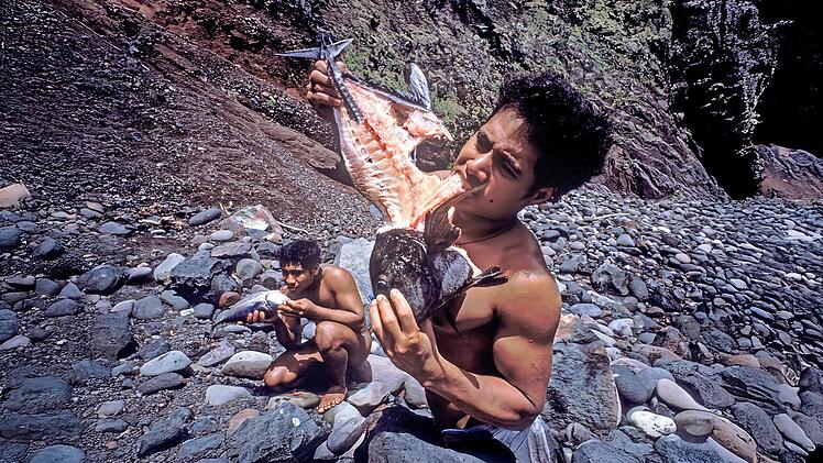 Nach ihrer Rettung kehrten die "Ata-Boys" gemeinsam mit einem Kamerateam auf die Insel zur&uuml;ck, um zu zeigen, wie sie dort &uuml;berlebt hatten. In der ZDF-Doku werden Ausschnitte der Aufnahmen gezeigt.