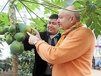 Die "Chemie" stimmte sofort zwischen dem Tettauer Bürgermeister Peter Ebertsch (rechts) und Guarani de Morais von der brasilianischen Botschaft. Gemeinsam bestaunten sie die tropischen Früchte, die im Tropenhaus in Kleintettau wachsen. Foto: Veronika Schadeck