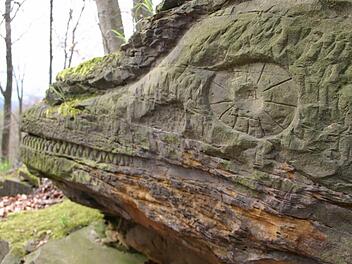 Der imposante Ichthyosaurus im Banzer Wald gibt sein Geheimnis nicht preis. Niemand weiß mit Sicherheit zu sagen, wer dieses Halbrelief in den Sandstein meißelte, das der Versteinerung des Fischkopfsauriers nachempfunden ist, die sich im Klostermuseum befindet. Wer ähnliche mysteriöse Geschichten kennt, kann diese gern als Themen für das dritte KIS-Buch vorschlagen. Archivfoto: Matthias Einwag