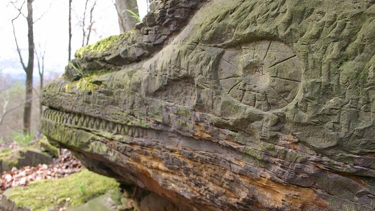 Der imposante Ichthyosaurus im Banzer Wald gibt sein Geheimnis nicht preis. Niemand weiß mit Sicherheit zu sagen, wer dieses Halbrelief in den Sandstein meißelte, das der Versteinerung des Fischkopfsauriers nachempfunden ist, die sich im Klostermuseum befindet. Wer ähnliche mysteriöse Geschichten kennt, kann diese gern als Themen für das dritte KIS-Buch vorschlagen. Archivfoto: Matthias Einwag