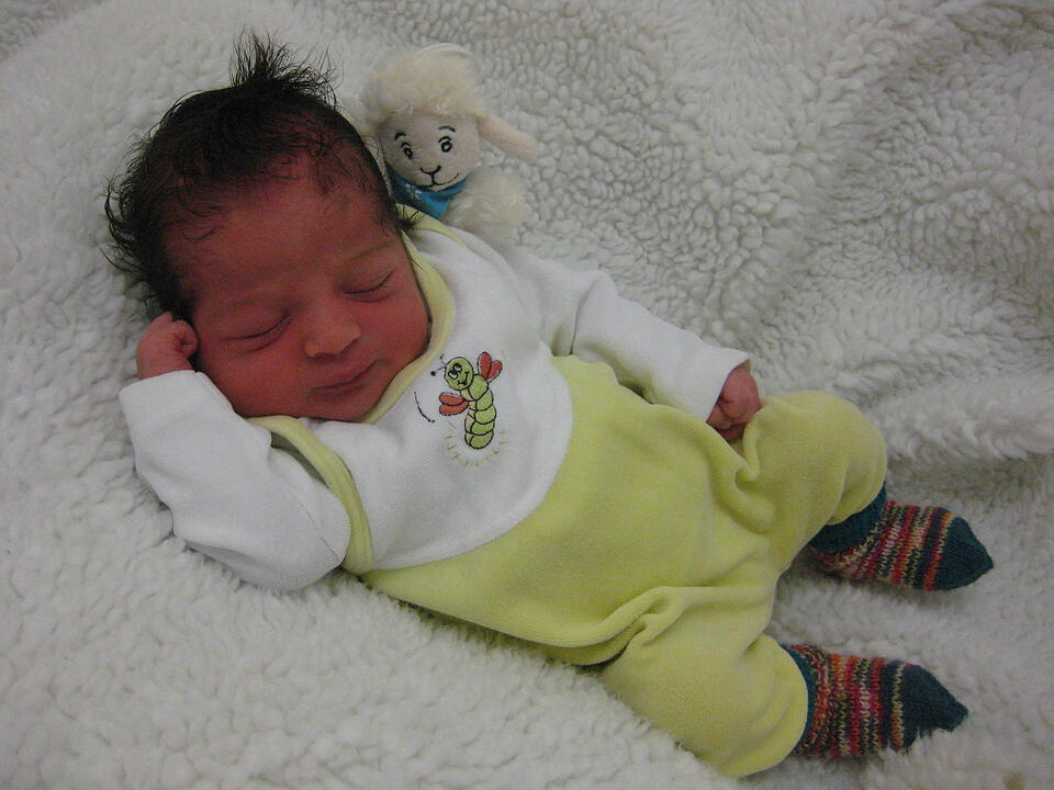 Babygalerie 334