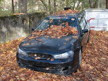 Der Halter des Fahrzeuges ist bekannt. Dennoch geht die Stadt derzeit  davon aus, dass sie das Auto entsorgen und auch die Kosten dafür tragen muss. Foto: Heike Beudert