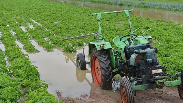 Bei Hallstadt Fotos: Ronald Rinklef