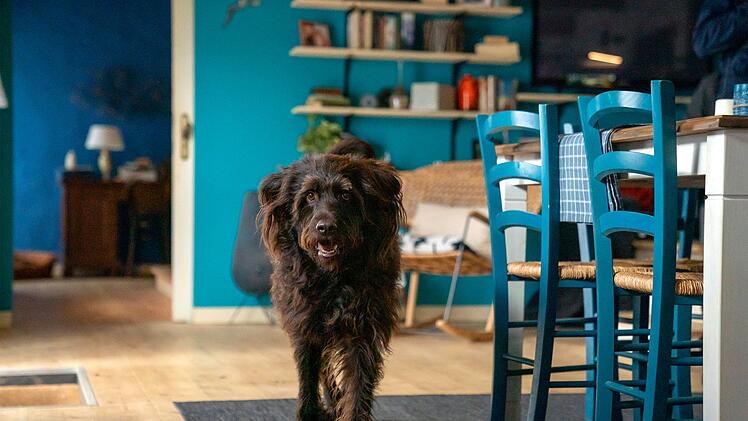 Hund Lucky ist wie immer auch dabei.