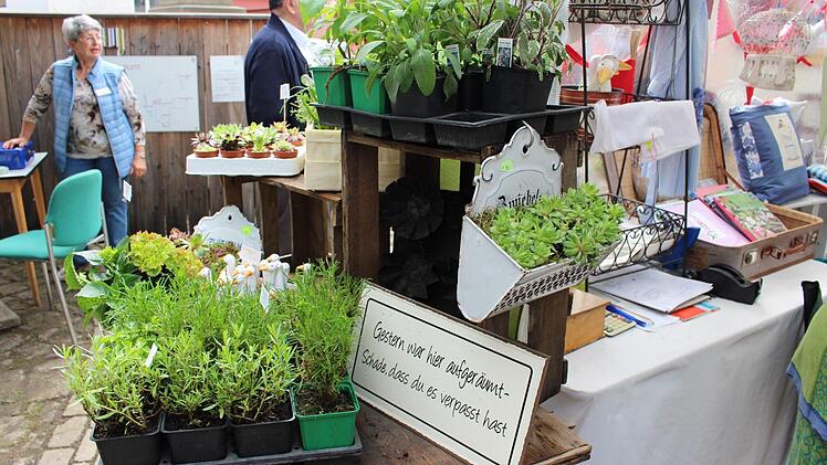 Immer bezaubernd: Frühlingshafte Kräuter