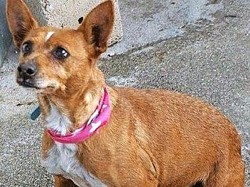 Nati hat schon viel Schweres erlebt, aber nie ihr liebes Wesen verloren.