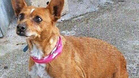 Nati hat schon viel Schweres erlebt, aber nie ihr liebes Wesen verloren.